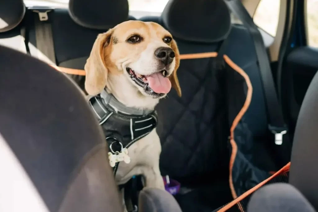  adjustable dog car seat belt
