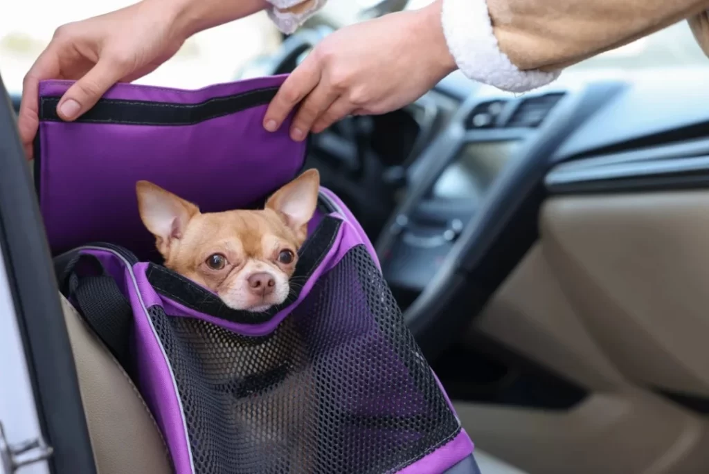  jeep seat covers for dogs