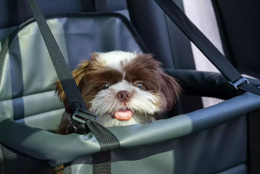 Dog Car Seat for Toy Tzu