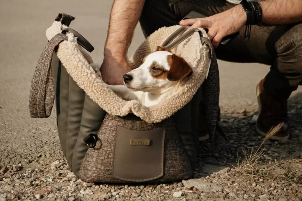luxury dog bag