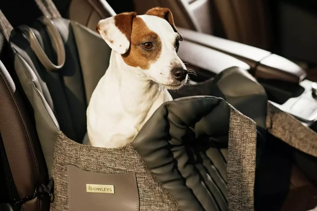 Sports car dog seat carrier