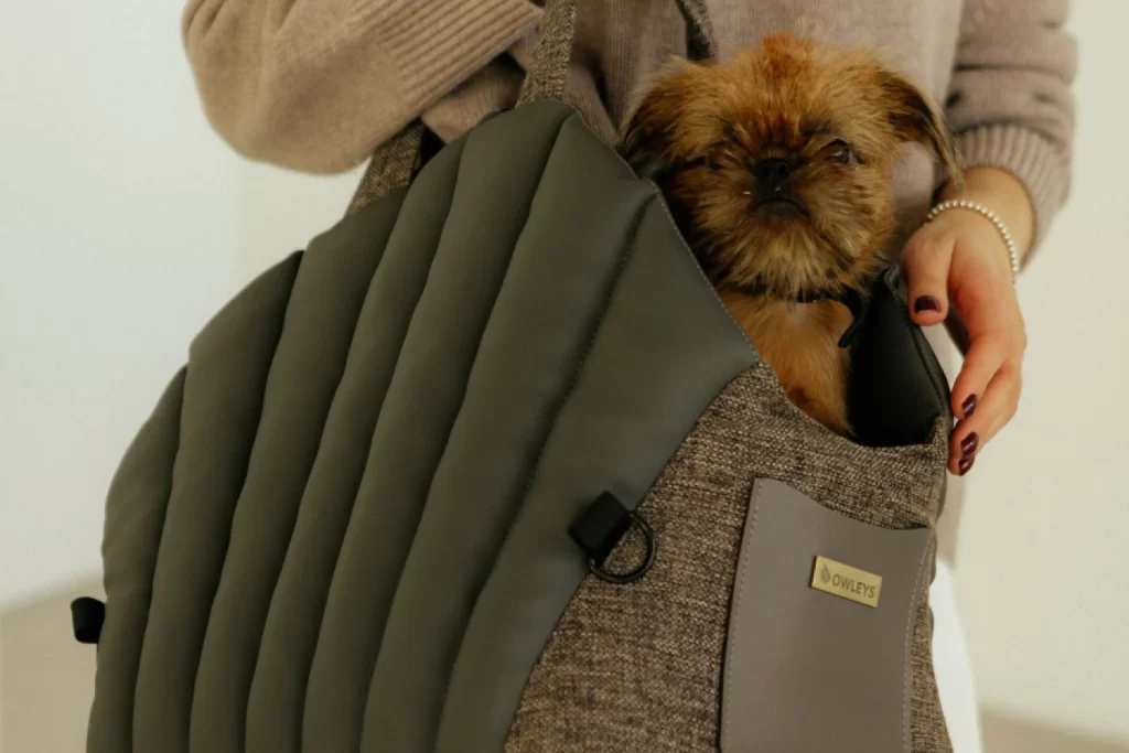 3-in-1 dog bed carrier and car seat