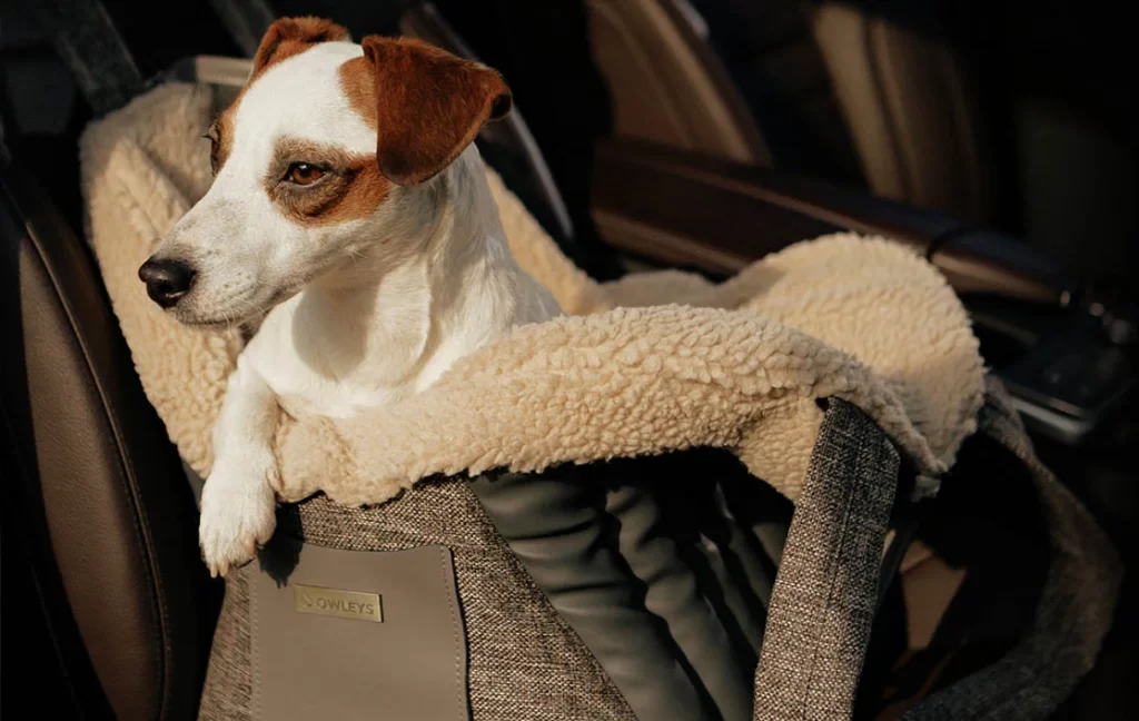 stylish dog carrier purses