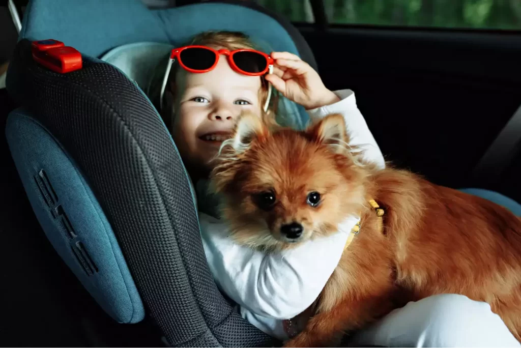 dog car seat pet carrier