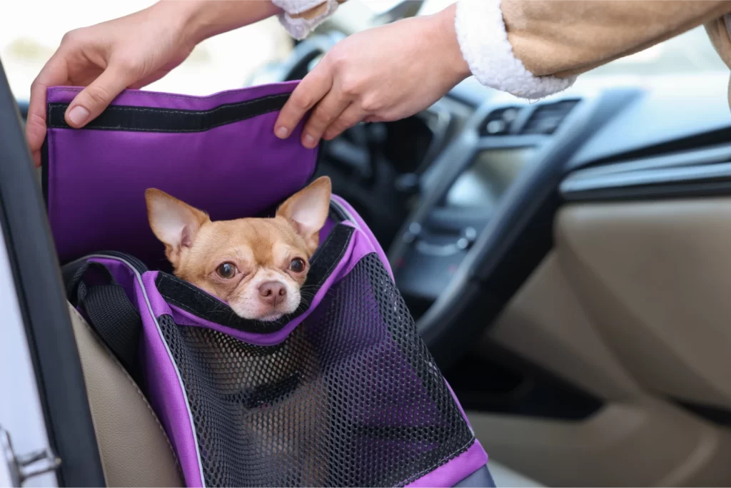 Convertible Car Dog Seat Carrier
